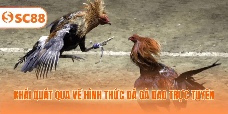 Khái quát qua về hình thức đá gà dao trực tuyến