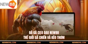 Đá Gà Cựa Dao NEW88 - Thế Giới Gà Chiến Và Kèo Thơm