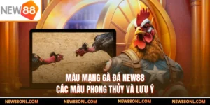 Màu Mạng Gà Đá NEW88 - Các Màu Phong Thủy Và Lưu Ý