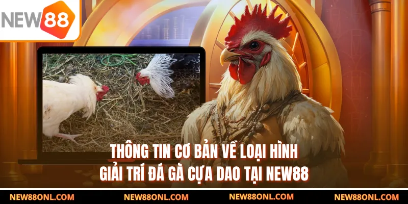 Thông tin cơ bản về loại hình giải trí đá gà cựa dao tại NEW88